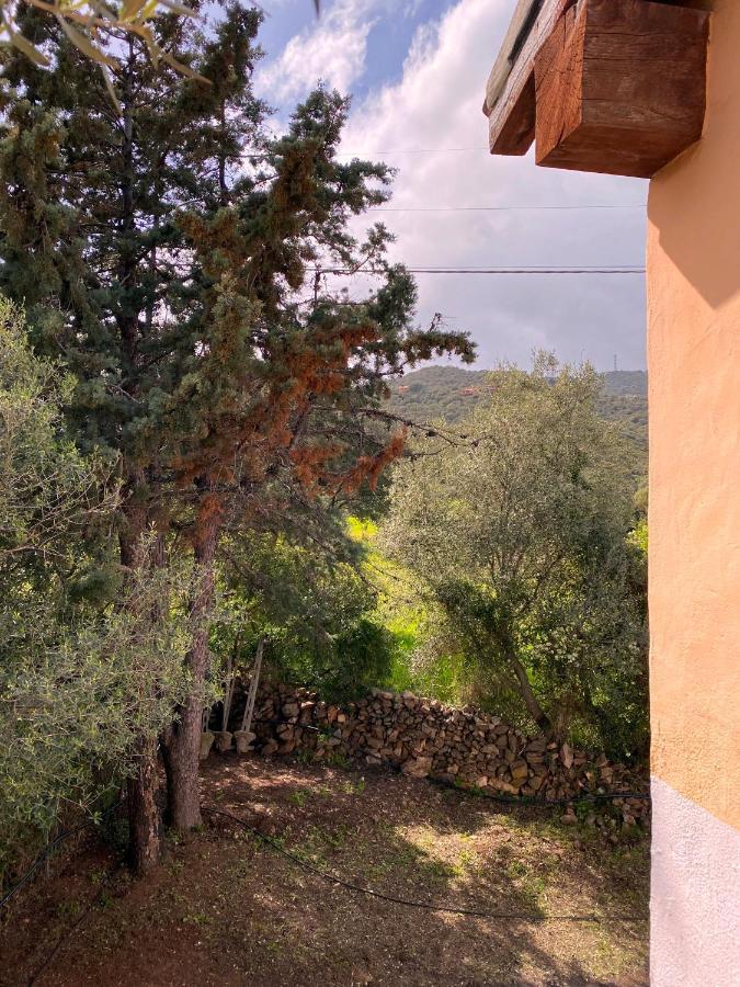 Casa Porta Smeralda Appartement Olbia